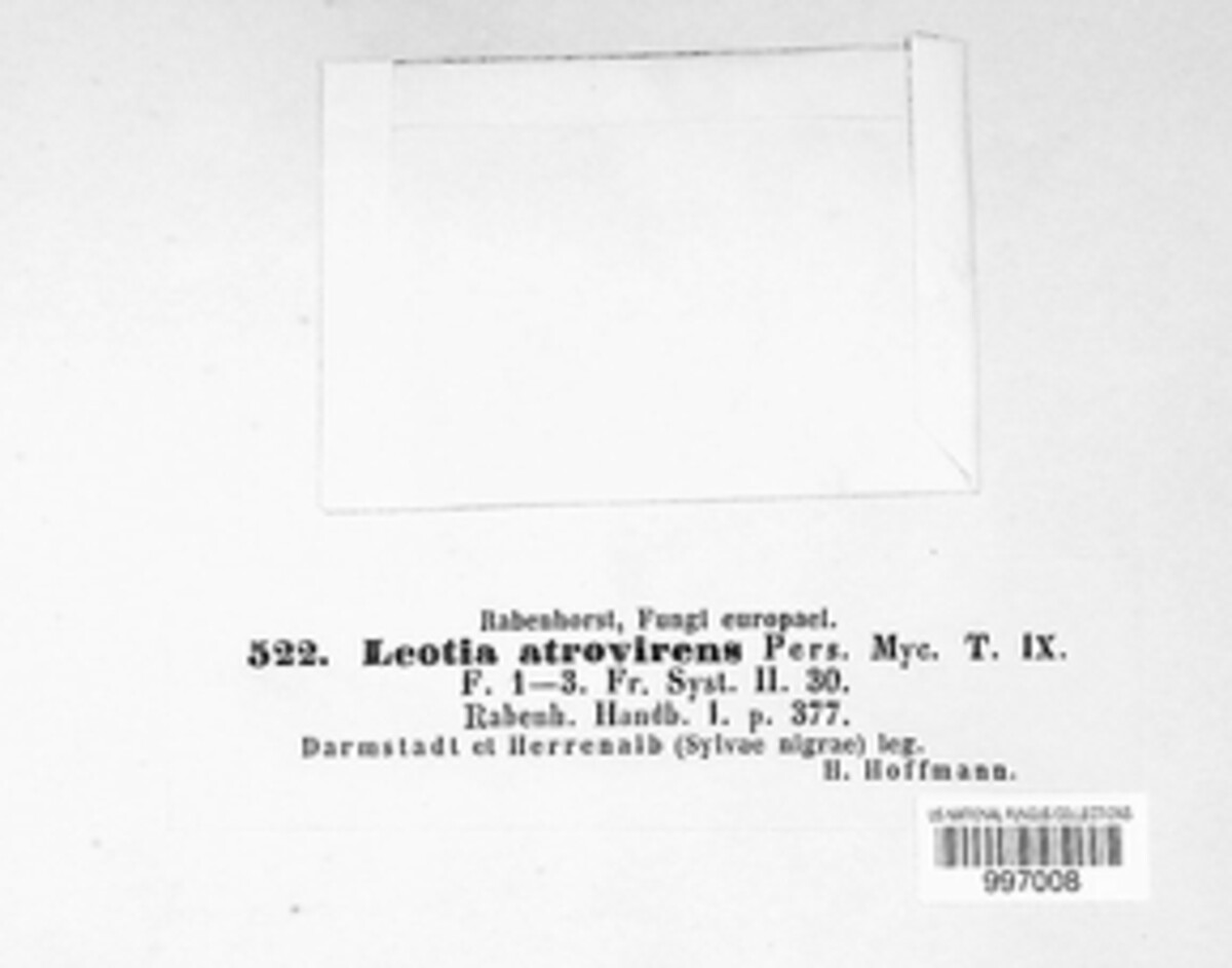 Leotia atrovirens image